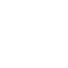 S4 Logo