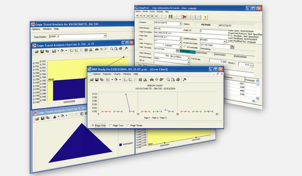 Customisable Reports